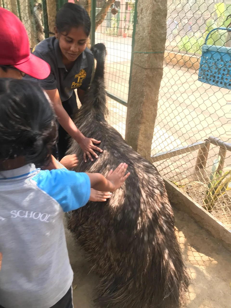 Children playing with ostrich