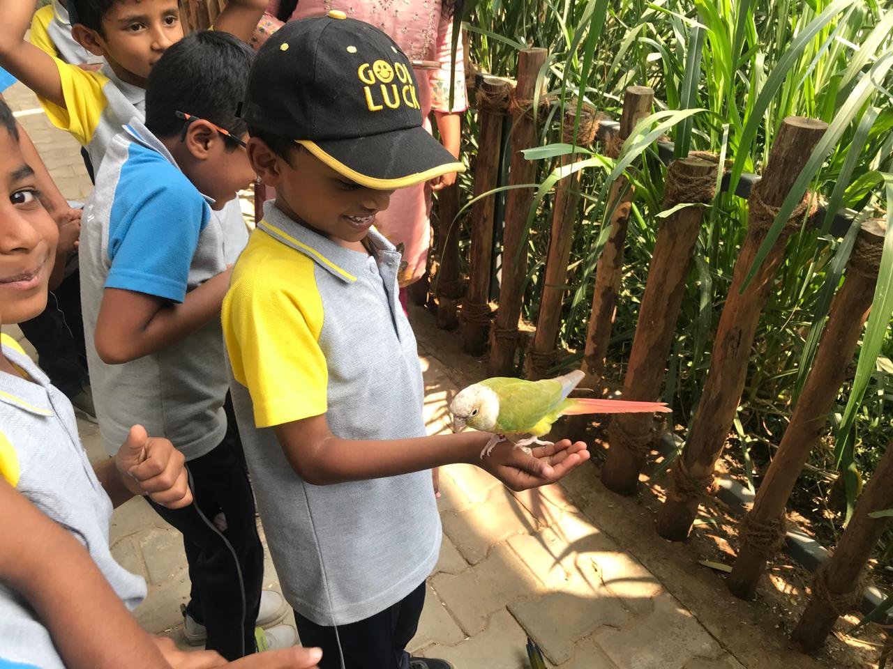 Children playing with parrot