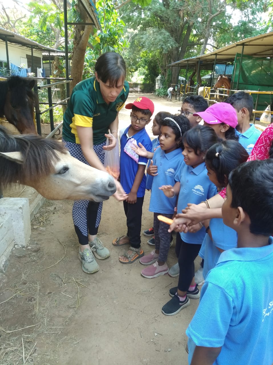Children feeding horse