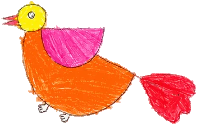bird