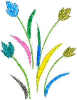 tulips
