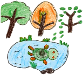 turtle pond
