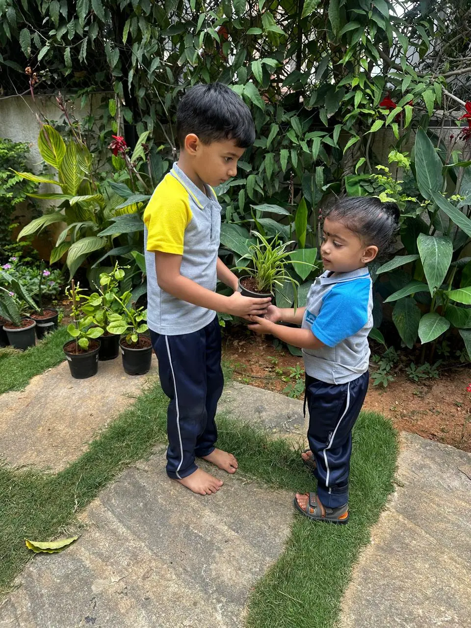 Children planting saplings